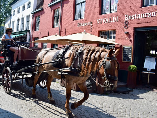 Horse Drawn Carriage, Vivaldi Restaurant, Bruges, Belgium