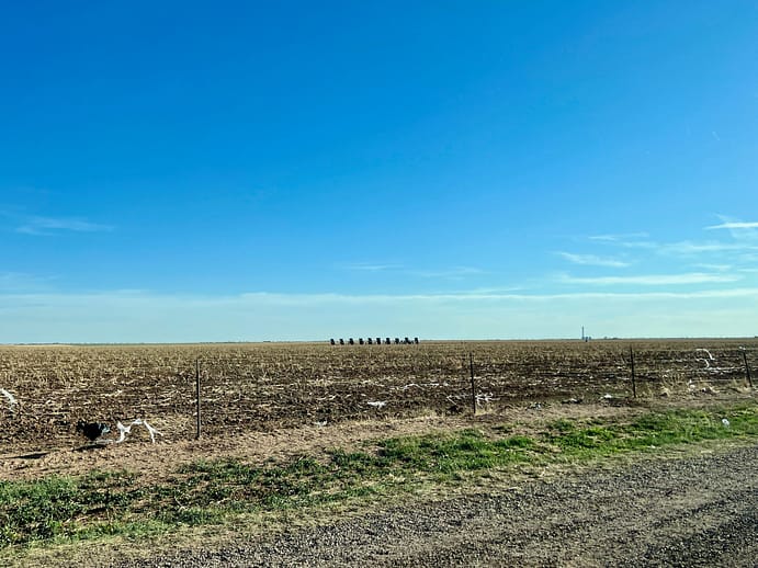Cadillac Ranch, Amarillo, Texas