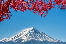 Mount Fuji with Cherry Blossoms, Hakone, Japan