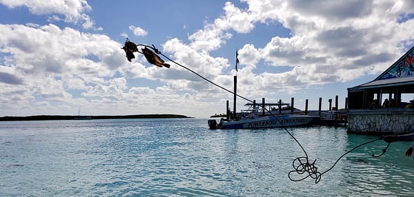 Shark Bait, Powerboat Adventures, The Exumas, The Bahamas