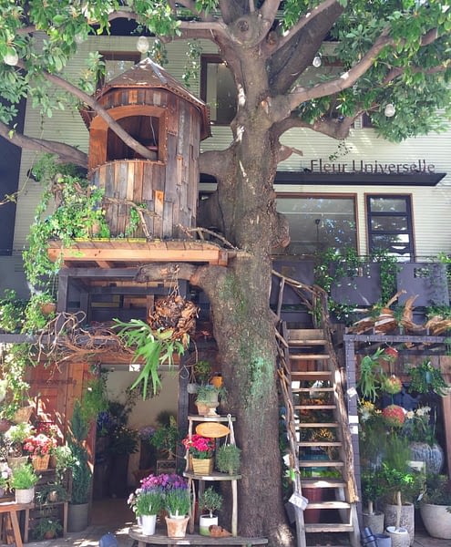 Tree House, Fleur Universelle, Hiroo, Tokyo, Japan