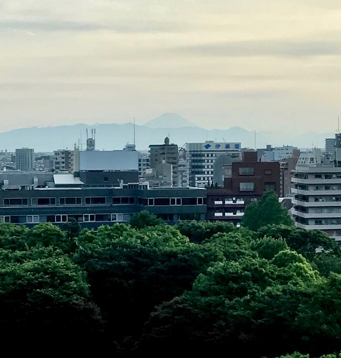 Mount Fuji from Hyatt Regency Tokyo, Japan