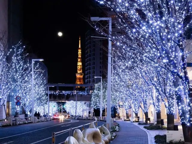 Christmas Lights near Grand Hyatt Tokyo, Roppongi Hills, Japan